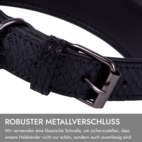 FAVPET Luxus Echtleder Halsband Hund Breit mit QR Code Anhänger, Gepolstertes Hundehalsband Leder Breit, Breites Lederhalsband Hund, Breite Hunde Halsbänder, Welpenhalsbänder Leder (Schwarz, M)