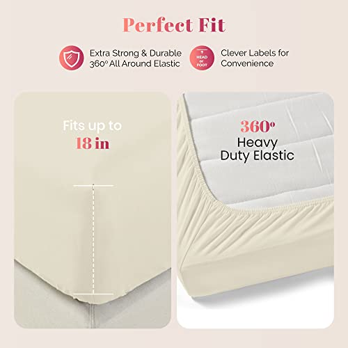 Ashton Sheets Premium 1000-Thread-Count Egyptian Feel 100% Cotton - Breathable Sand Queen Fitted Sheet, Easy Snug Fit, 18 Deep Pocket, Soft Smooth Sateen Weave, Extra Long Staple Cotton #TOP2