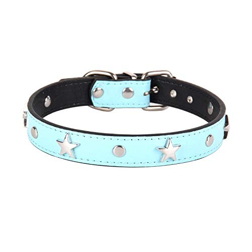 TYCHWZRMV(売店)犬が道具を引っ張る、 犬用牽引ロープ スタースタッズ付き犬用首輪 レザー製子犬用ネックストラップ 快適な猫用首輪 調節可能なペット用首輪(Sky blue,L)