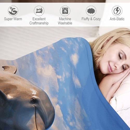 Couverture douce dauphin mignon cadeau idéal pour lit et sofa - 5