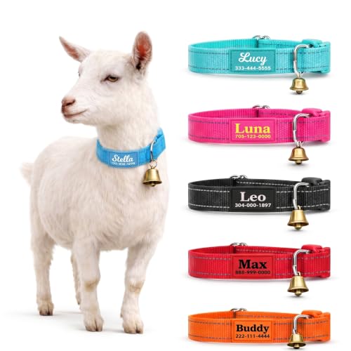 Personalized Goat Collar with Bells & Name