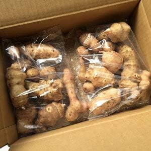 Amazon 北海道赤井川村産菊芋1kg きくいも アンビックス 野菜 通販