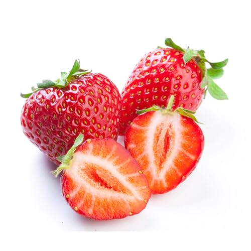 Erdbeeren Gefriergetrocknet in Schokolade - Mr Fudgesto - Premium Genuss - Ohne Zucker - Gesunder Snack - Kakaoüberzogene Nüsse und Früchte - 100g