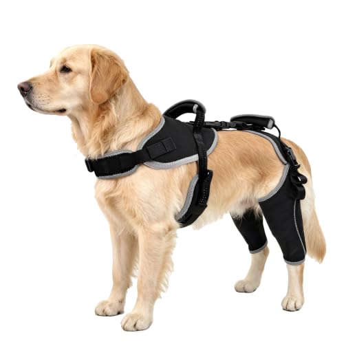 Image of Adjustable Support Dog ACL Brace Hind Leg,Both Leg-Upgraded-Custom