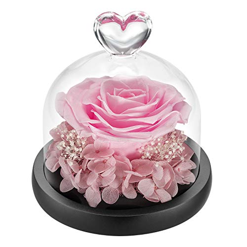 DuHouse Forever Roses Konservierte Rose im Glas