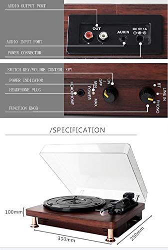 Turntable Salut-FI avec Haut-parleurs d’étagère, Vinyle phonographes avec Cartouche magnétique Compatible avec disques vinyles de Toutes Tailles, y Compris 33 □, 45 ou 78 Tours - Les Beatles, Paul McCartney, John Lennon, RIngo Starr, George Harrison Turntable Salut-FI avec Haut-parleurs d'étagère, Vinyle phonographes avec Cartouche magnétique Compatible avec disques vinyles de Toutes Tailles, y Compris 33 □, 45 ou 78 Tours – Image 8