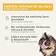 AniForte Bio Morosan Schonkost für Hunde bei Durchfall & Verdauungsstörung 6 x 100g - Natürliches Präbiotika für gesunde Darmflora, unterstützt Darmtrakt & Darmsanierung, Darmgesundheit, Immunsystem