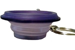 Convenient Keychain From Tupperware