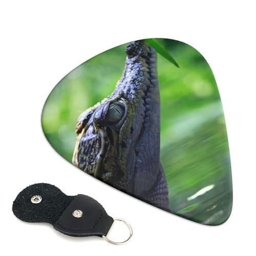 vX`bNsbN 킢GLM^[sbN j Absf GNgbN AR[XeBbN y lwysbN 6pbN 0.96mm