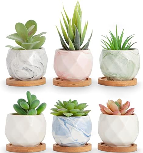 ilohaus Succulent Pots Set of 6, Plant Pots Indoor, Succulent Planters, Small Plant Pots, Cactus Pot, Cute Plant Pots, Small Flower Pots, Small Succulent Pot, Small Planter Set