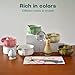 ZentButCool Matcha Set Includes Ceramic Matcha Bowl, Bamboo Whisk (Chasen), Scoop, Stainless Steel Matcha Sifter, And Whisk Holder (Red)