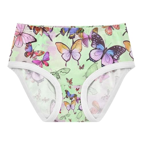 Colorful Butterfly Toddler Girls's Underwear 2T 202c1150
