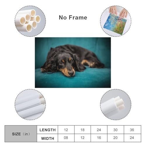 Poster teckel sur toile premium 60 x 90 cm avec impression d'art - 2