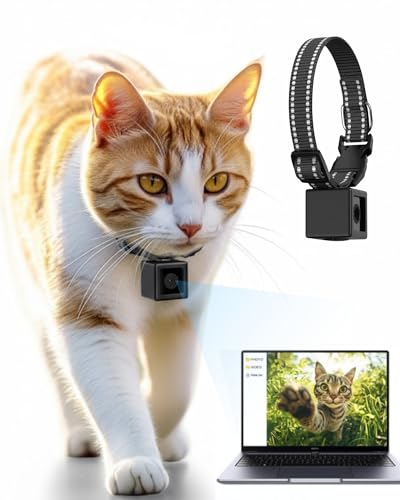 ZoomaraKam Cat Camera Collar 1080P HD Video Recording Pet POV Cam, NO WiFi NO APP, Mini Action...