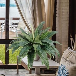TOCHGREEN Artificial Ferns for Outdoors Set of 2 Bouquets 30" Diam Large Long Silk Artificial Boston Fern Fake Ferns Potted Faux Bush Plants for Home Garden Porch Window Decoration (2pcs) - Image 8