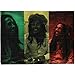LPGI Bob Marley Rasta Collage Fabric Poster, 30 by 40-Inch