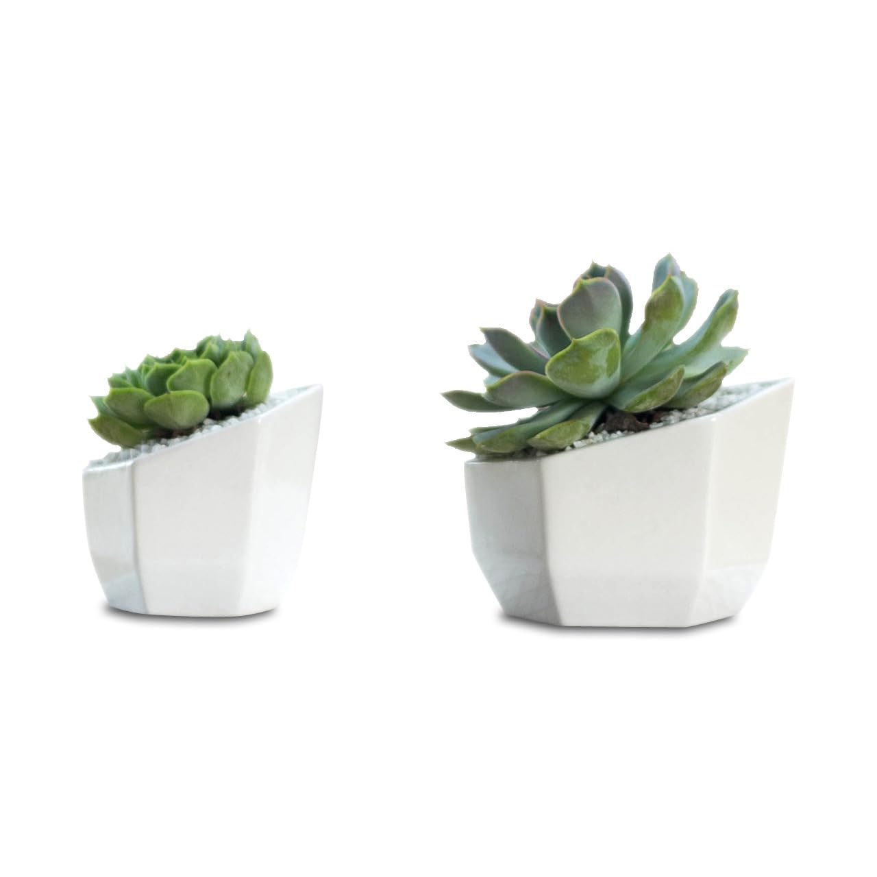 See full amazon price history chart for FURN ASPIRE Hexa Shape Small Ceramic Flower Plant Pot for Living Room Balcony Home & Office Decor Free 1 Mini Pot White- (Plants Not Included) FURN ASPIRE Hexa Shape Small Ceramic Flower Plant Pot for Living Room Balcony Home & Office Decor Free 1 Mini Pot White- (Plants Not Included) (B0CBPN9N6B) Amazon Price History, Amazon Price Tracker