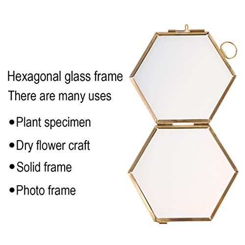Jili Online Antique Hexagon Metal & Glass Hanging Floating Picture Photo Frame Black/Copper - Copper #TOP4