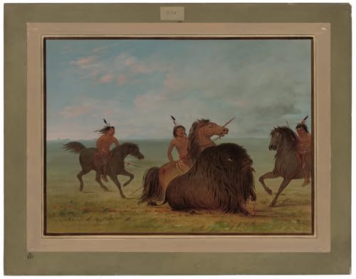 Image Sur Toile George Catlin Camanchees Lancing Tableau Pour Transformer Un Mur Vide