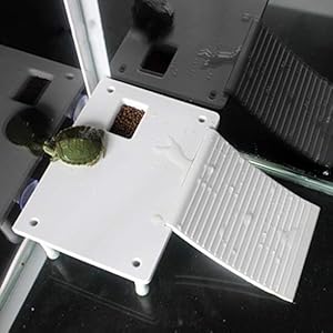 ECMQS – Tortuga de plástico con forma de escalera de rampa para terrazas o descansos