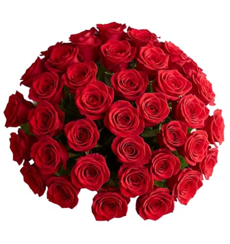 1800 Flowers 48 Stem Red Roses (Bouquet Only) | Bulk Fresh Cut Flowers for Delivery | Ideal for Spring Gatherings DIY Spring Decor Centerpieces Weddings & Parties