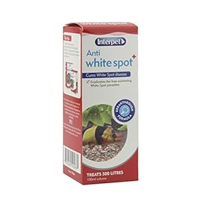 Interpet Anti White Spot Aquarium Fish Treatment, 100 ml