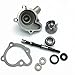 Water Pump Assy Replacement for GY6 250CC CH250 CF250 Water-Cooled ATV Scooter ATV Fitting Cover Shaft Oil Seal Replacement