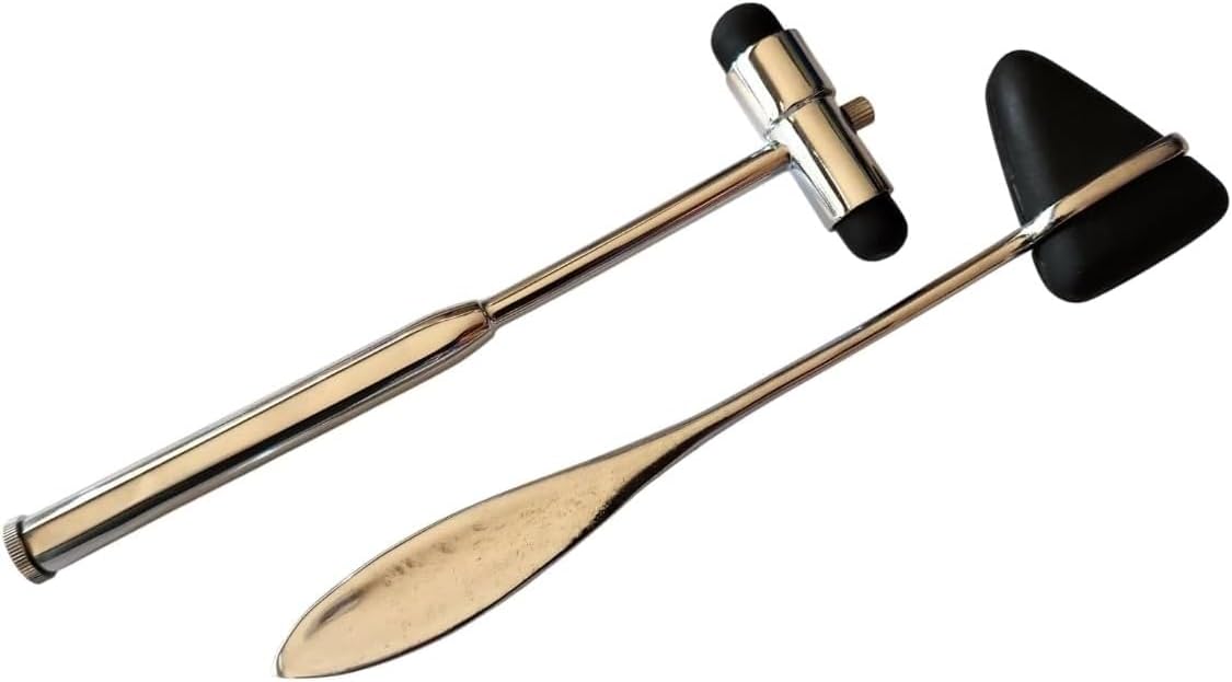 Neurological Percussion Set, Reflex Taylor Buck Hammer Diagnostic Kit for Nurses, EMS, Medical Students, Clinical