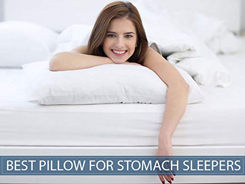 HONEYFEEL® Indian Made No.1 Standard Pillow 40% Down 60% Kudos Fiber Balls Mimic Premium Sleeping (Set of 1) 18 x 27 in 3