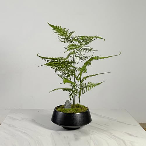 HGJH tFCNO[  J[1 lHϗtA ֏ CeA Xܑ fBXvCp  ւ̑ CeAO[ A lH~ ₷ sv Mtg Vzj zj Mtg S