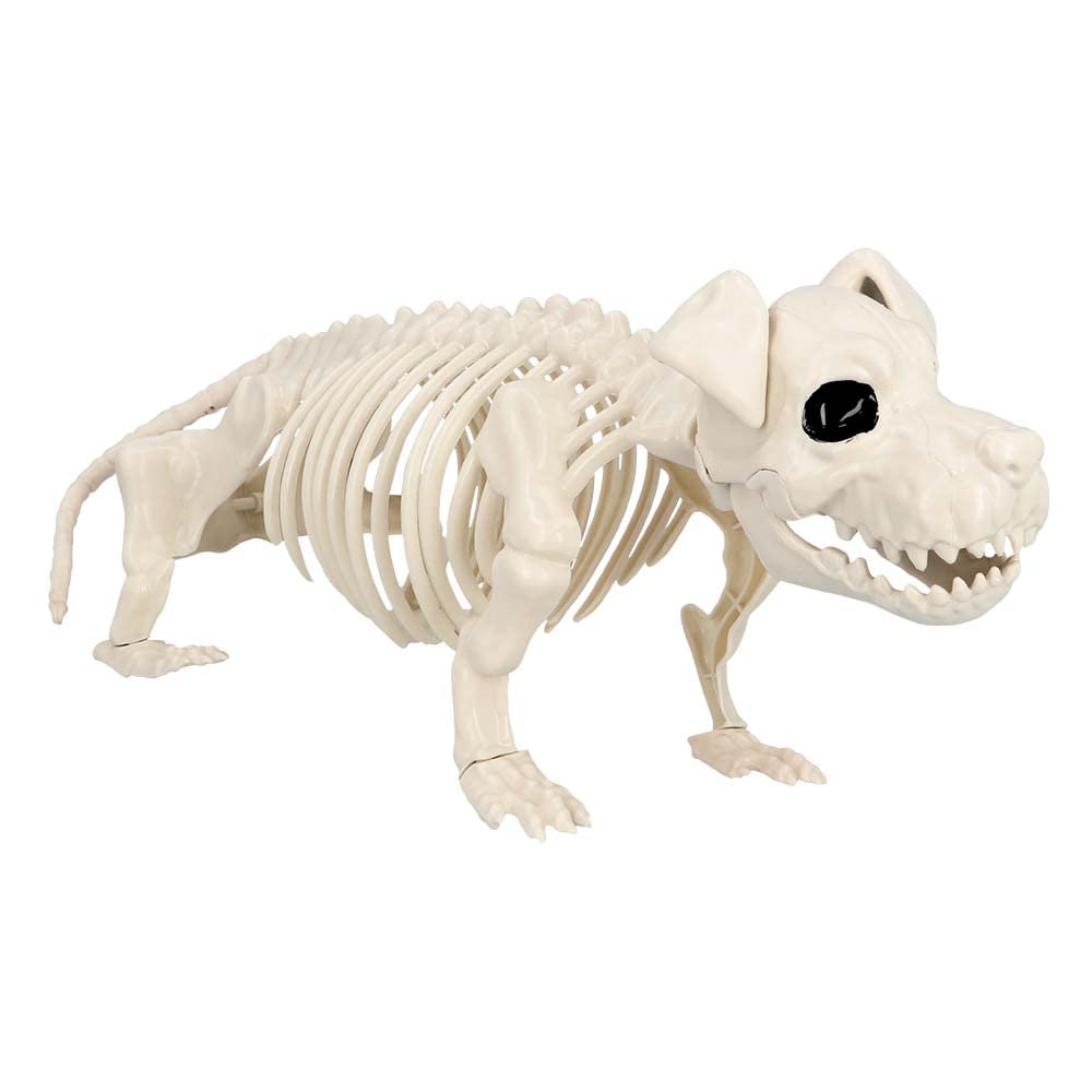 Boland 72416 - Dog Skeleton, Size 52 cm, Movable Mouth, Dog, Plastic, Decoration for Halloween, Carnival or Theme Party