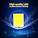 Ruiandsion 36MM LED Car Festoon Dome Interior Light White 12V Non Polarity 2016 LED Chip for Glove Box Reading Lights(Pack of 2)