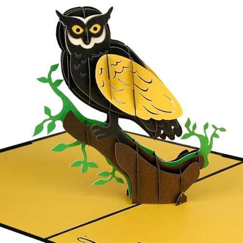 iGifts And Cards Enchanted Night Owl 3D Pop-Up Card 6" x 8" Unique Note Card for Birdwatch