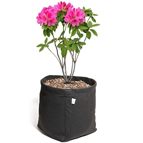 Vaso de Feltro 11 Litros - King Pot (Preto)