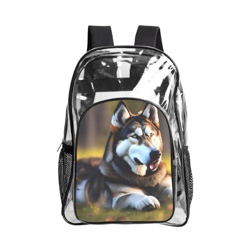 Sac à livres transparent pour vos vacances à la plage avec husky