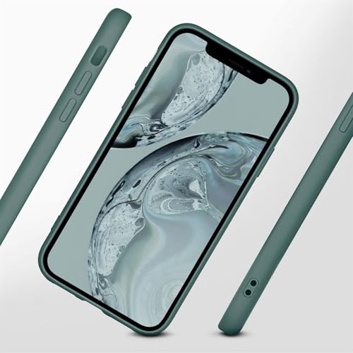 Coque iPhone 12 Pro Max silicone double couche contre les rayures d'écran