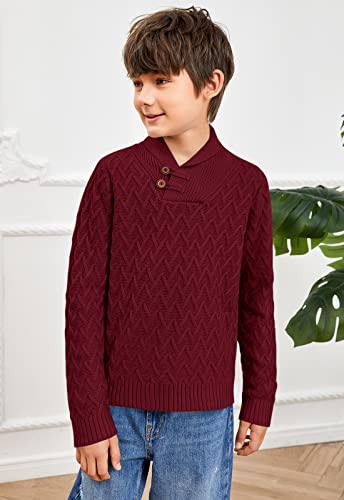 Teurkia Boys Sweaters Shawl Collar Long Sleeve Cable Knit Button Winter Pullover Tops Red #TOP3