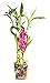 9Greenbox - Lucky Bamboo - Heart Style with Silk Flowers and Glass Vase and Pebbles