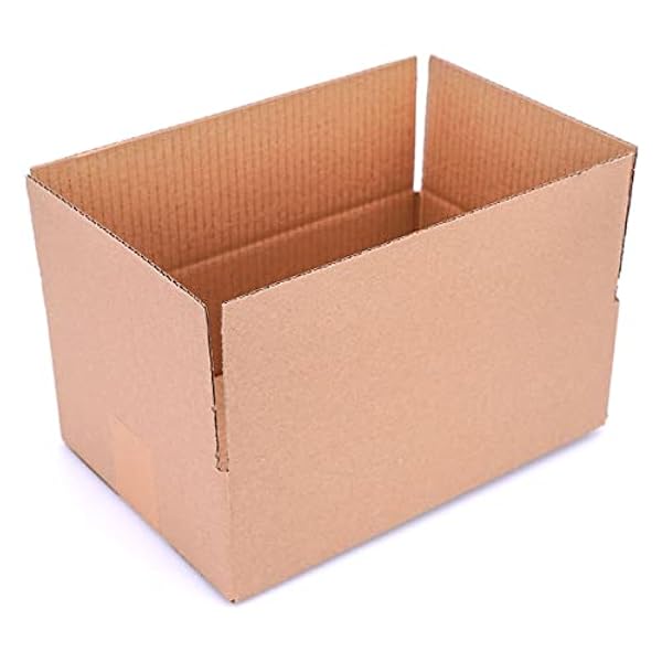 250 vouwdozen 295x195x90 mm dozen bruin 1-golf verzenddozen klein - KK 33