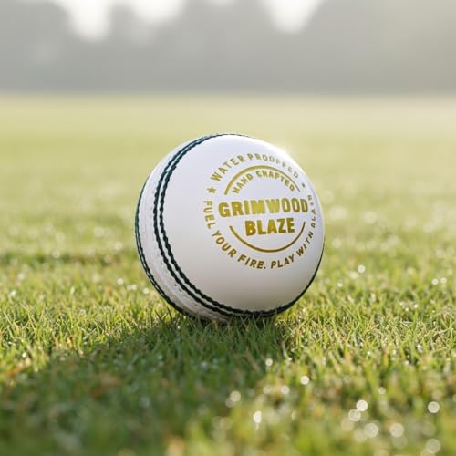 Image of Leather Ball for Cricket | Handcrafted Waterproof Design | Durable Seam & Premium Cork Ball | Match Ready Cricket Ball for Test, ODI, T20 & Practice Games (Blaze Leather Ball - White)