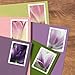 Tulip Blossom Forever Postage Stamp - 2 Books of 20 US First Class Flower Wedding Celebration Party Garden Announcement (40 Stamps)