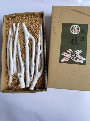 K808 �}�Y ������ ���F�p ���� ����