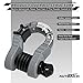 AUTMATCH D Ring Shackles 3/4