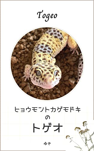 ヒョウモントカゲモドキのトゲオ
