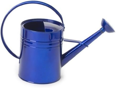 Houston International 8582E GB 1-Gallon Steel Watering Can, Glazed Blue
