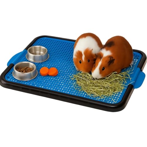 Banheiro Sanitário Lavável para roedores Coelho, Chinchila e Porquinho da Índia (Azul)