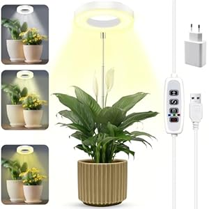 Lampe Plante, Lampe de Croissa...