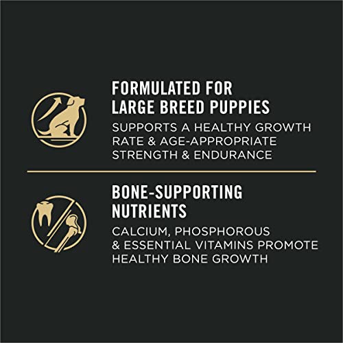 New-Purina-Pro-Plan-Puppy-Development-High-Protein-Dry-Dog-Food-Chicken-Rice