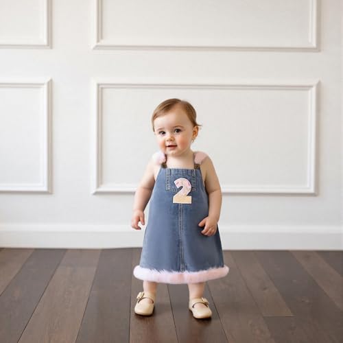 Toddler Baby Girl First/Second Birthday Clothes One/Two Year Old Birthday Dress Denim Fluffy Bib Overall Dresses Outfit3