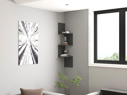 Hanah Home Scandinavian Wall Shelf, Anthracite, 105.4 x 25 x 25 cm | 100% Melamine Coated Particle Board, 18 mm Thick | Stylish & Functional Storage Solution